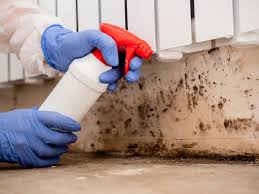 Best Industrial Mold Remediation  in Chepachet, RI